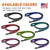 Dogline Rubber Infused Nylon Walking Leash