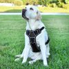 Dogline Quest Multi-Purpose No Pull Dog Harness