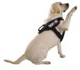 Dogline 3D Rubber Removable Patches for Dog Harness and Vest