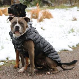 Alpine Extreme Weather Puffer Coat - Black (DoggieDesign Size: X-Small)