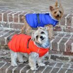 Alpine Extreme Weather Puffer Coat - Orange (DoggieDesign Size: X-Small)