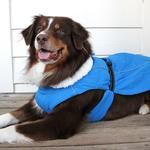 Alpine Tuf Terrain Dog Coat - Mountain Lake (DoggieDesign Size: X-Small)