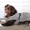 Alpine Tuf Terrain Dog Coat - Dried Sage