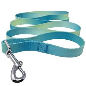 American River Ombre Leash - Aruba Blue (DoggieDesign Size: 5/8 inches wide x 4 feet long)