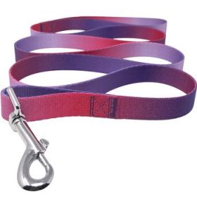 American River Ombre Leash - Raspberry Sundae (DoggieDesign Size: 5/8 inches wide x 4 feet long)