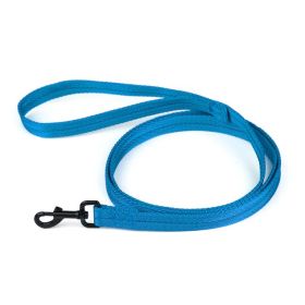 Nylon Flat Leash (DL Color: Blue)