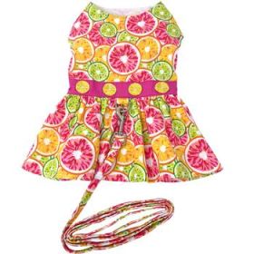 Citrus Slice Dog Dress with Matching Leash (DoggieDesign Size: X-Small)