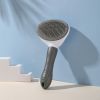 Pet Comb Stainless Steel Needle Brush