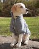 Fashion Plush Cotton Pet Hoodie Hooded Sweater