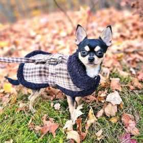 Sherpa-Lined Dog Harness Coat - Brown & White Plaid (DoggieDesign Size: X-Small)