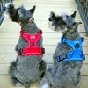 Venture Paw Pull Control Dog Harness - Mountain Lake