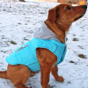 Weekender Dog Sweatshirt Hoodie - Light Blue (DoggieDesign Size: X-Small)